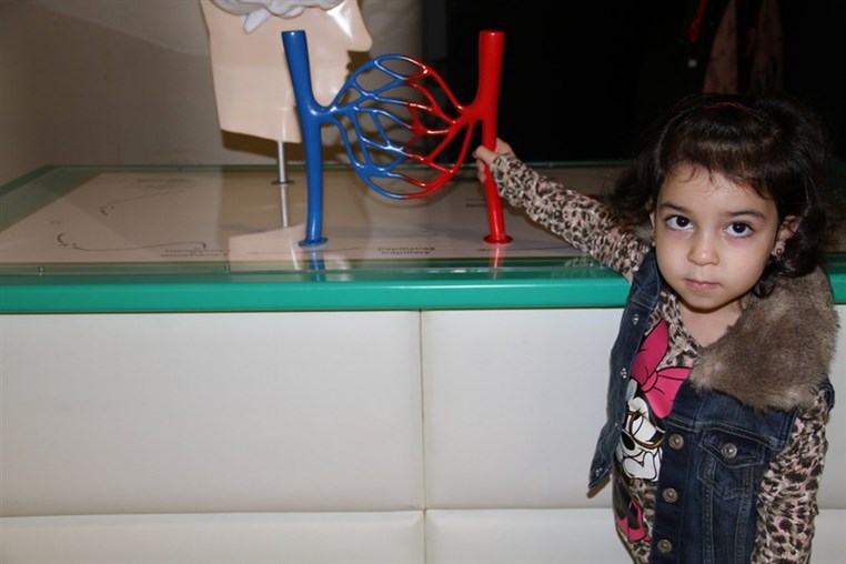 Bees Mystery at Beirut Souks